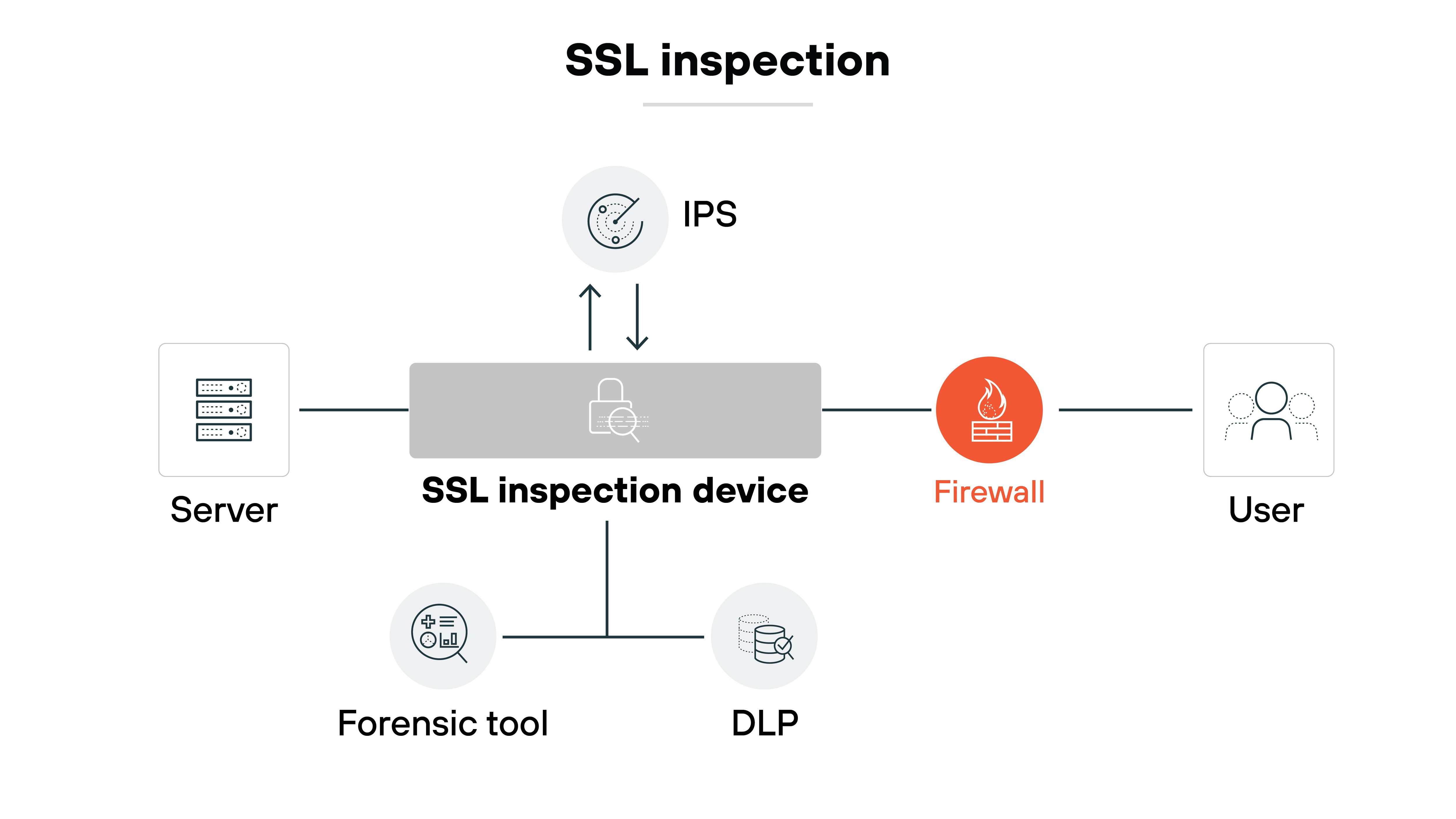 Architecture diagram illustrating the process of SSL inspection within a network security framework. On the left, a server is connected to an SSL inspection device, which is centrally positioned in the diagram. Above the SSL inspection device, an Intrusion Prevention System (IPS) is indicated with an upward arrow, showing interaction with the device. To the right, a firewall is depicted, with a direct connection to the user. Below the SSL inspection device, two additional components are shown: a forensic tool and Data Loss Prevention (DLP) measures, each with their respective icons. The title Architecture diagram illustrating the process of SSL inspection within a network security framework. On the left, a server is connected to an SSL inspection device, which is centrally positioned in the diagram. Above the SSL inspection device, an Intrusion Prevention System (IPS) is indicated with an upward arrow, showing interaction with the device. To the right, a firewall is depicted, with a direct connection to the user. Below the SSL inspection device, two additional components are shown: a forensic tool and Data Loss Prevention (DLP) measures, each with their respective icons. The title