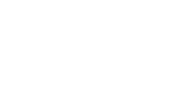 Palo Alto Networks Logo
