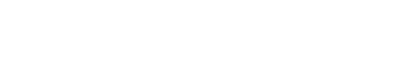 Palo Alto Networks Logo