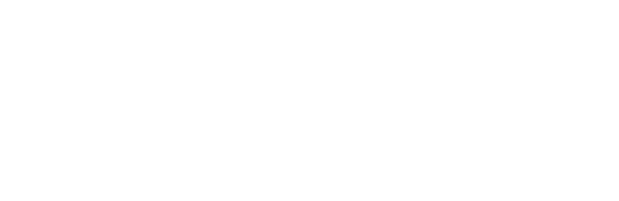 Palo Alto Networks Logo
