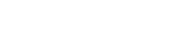 Palo Alto Networks Logo