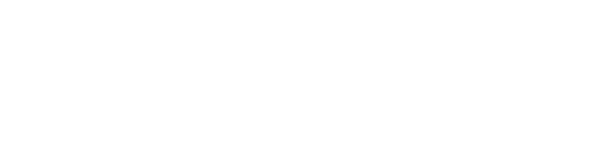 Palo Alto Networks Logo