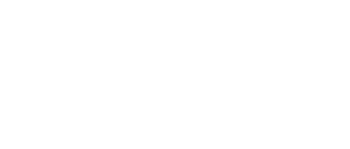 Palo Alto Networks Logo