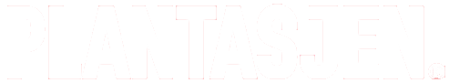 Palo Alto Networks Logo
