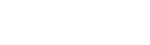 Palo Alto Networks Logo