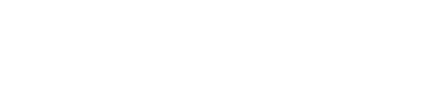 Palo Alto Networks Logo