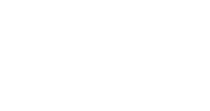 Palo Alto Networks Logo