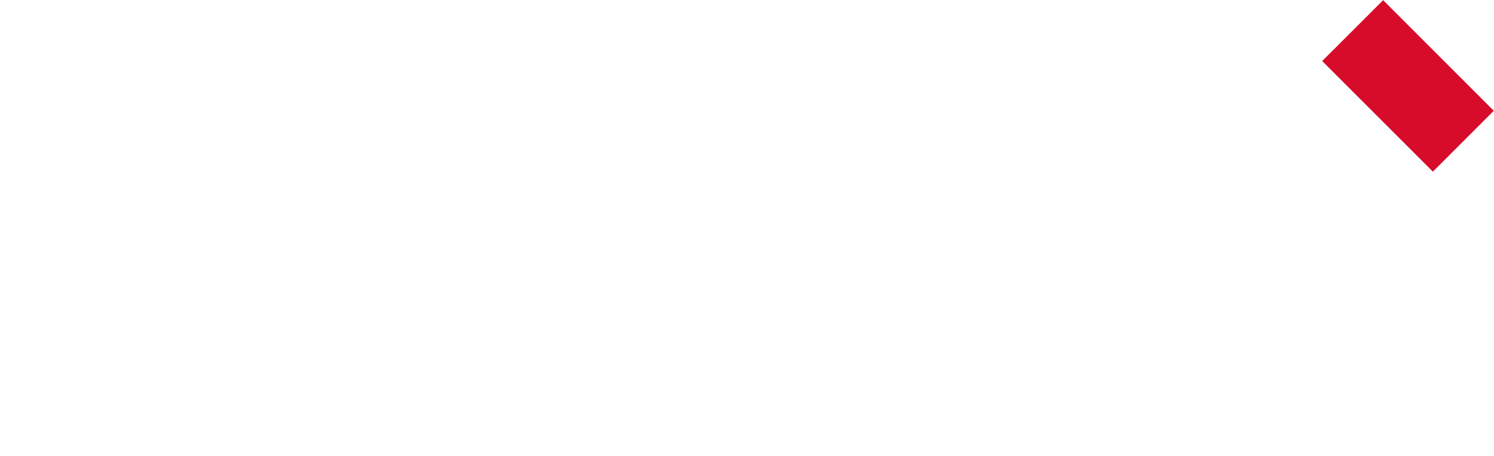 Palo Alto Networks Logo