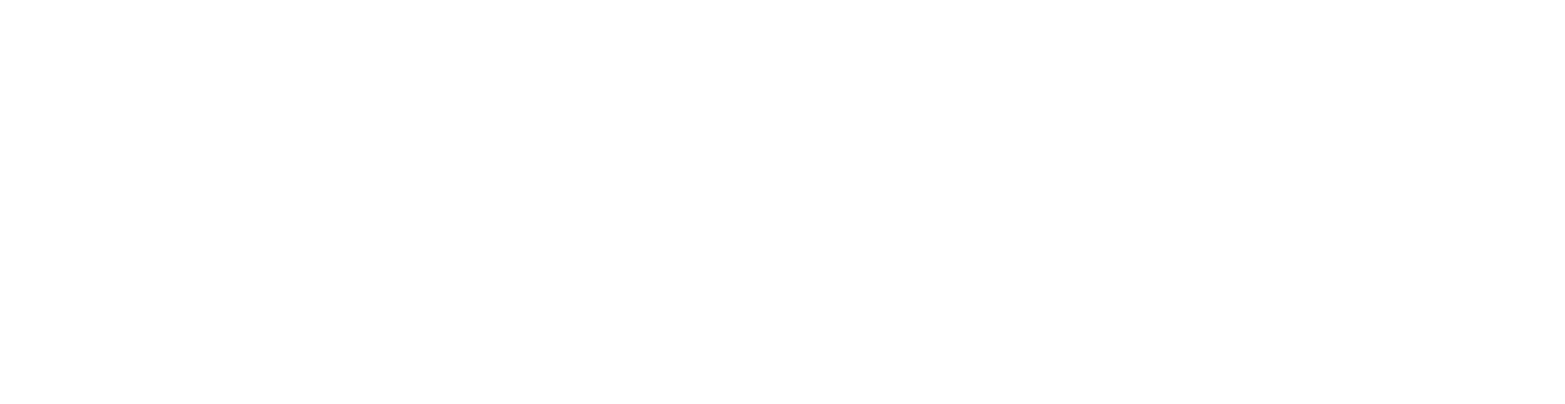 Palo Alto Networks Logo