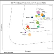 IDC 2025 MarketScape Leader